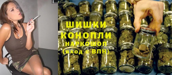 ешки Алзамай
