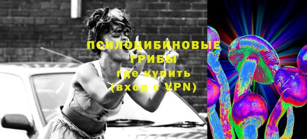 ешки Алзамай