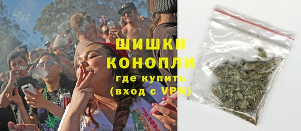 стаф Михайловск