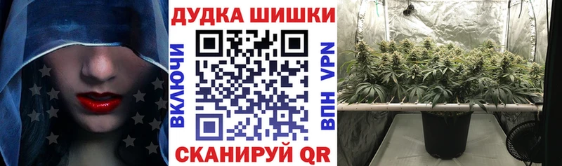 Конопля OG Kush Пролетарск